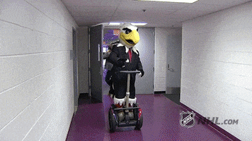 washington capitals 2017 stanley cup playoffs GIF by NHL