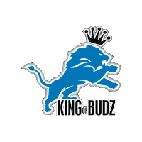 Detroit Lions Nfl Sticker by King of Budz
