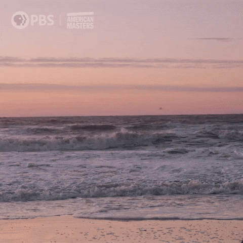 In The Making Beach GIF by American Masters on PBS