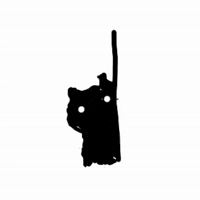 Looking Black Cat GIF