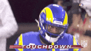 Nfl Playoffs Football GIF by NFL