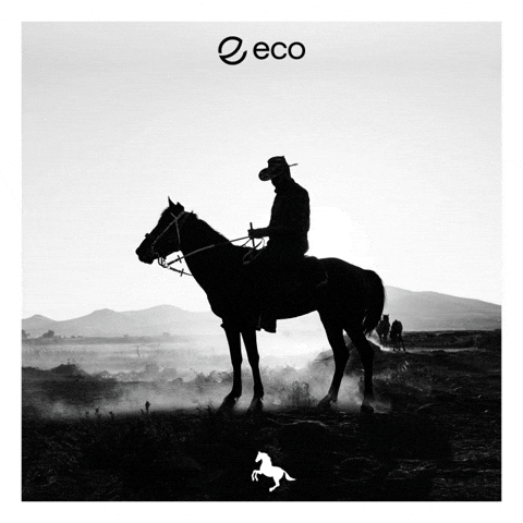 To The Moon Crypto GIF by Eco