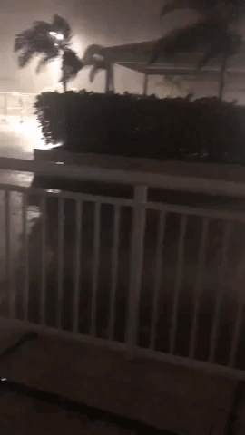 Tropical Storm Eta Knocks Out Power in South Florida