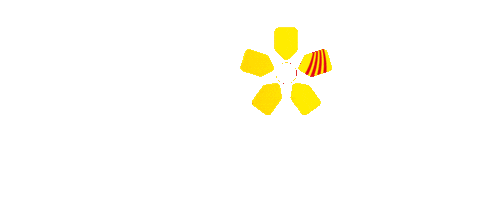 Pais Pdecat Sticker by Partit Demòcrata