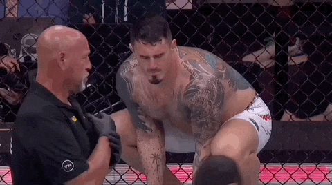 Mixed Martial Arts Sport GIF by UFC