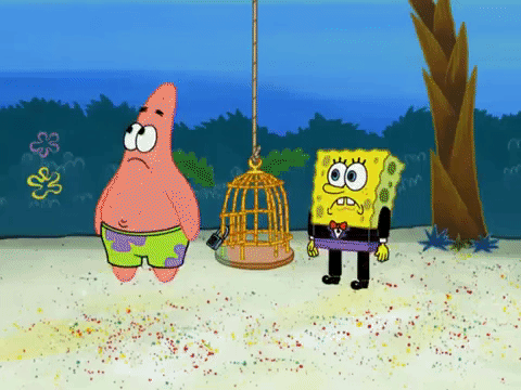 season 6 episode 26 GIF by SpongeBob SquarePants
