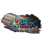 esnuepoznan uep pueb esn ue poznan esn poznan Sticker