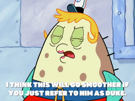 season 7 episode 10 GIF by SpongeBob SquarePants
