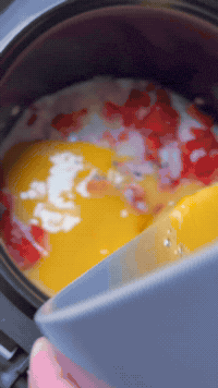 Frittata In A Rice Cooker | Rice Robot