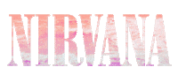 summer pink Sticker