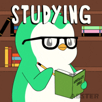 Penguin Learn GIF by Abster