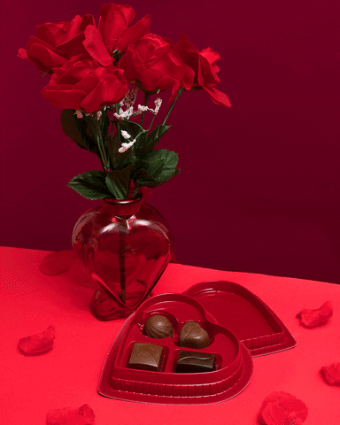 linneabullion giphyupload chocolate valentines day single GIF