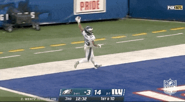 Regular Season Football GIF by NFL