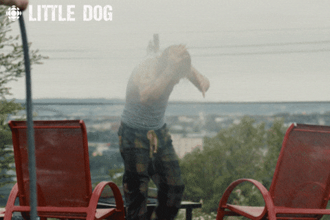 Dog Comedy GIF by CBC - Find & Share on GIPHY