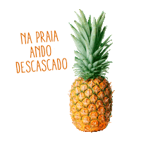 praia Sticker by Continente