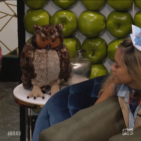 bigbrotherafterdark giphyupload big brother bbad big brother after dark GIF