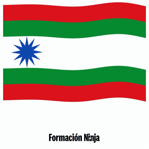 Castilla Y Leon Flag GIF by Formación Ninja