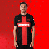 Bayer 04 No GIF by Bayer 04 Leverkusen