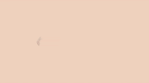 GIF by The Lip Bar