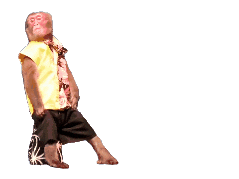 Fun Monkey Sticker