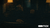 Doom Patrol Misfits GIF by HBO Max