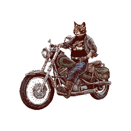 DeadCat_Media giphygifmaker cat bike motorcycle Sticker