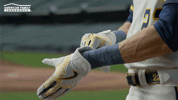 Milwaukee Brewers Baseball GIF by American Family Insurance