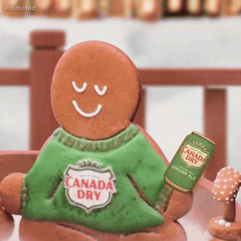 Sleigh GIF by Canada Dry Ginger Ale