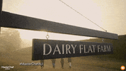 GIF by MasterChefAU