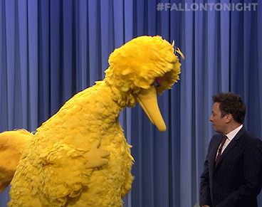 GIF by The Tonight Show Starring Jimmy Fallon