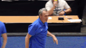 GIF by FIBA