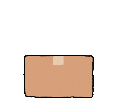 coconyangofficial giphyupload box open 고양이 Sticker