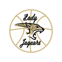 Moe Jaguars Sticker by JohnsonHSBand