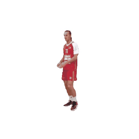 Dragonball Sommer Sticker by LUC Volleyball