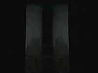 Footage Oaf GIF by jorgemariozuleta