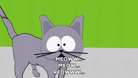 cat meowing GIF by South Park 