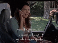 season 6 netflix GIF by Gilmore Girls 