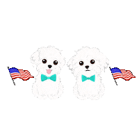 American Flag Sticker by HammyandBrody