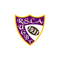 Anderlecht Sticker by Belgium Rugby