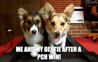 PCHOfficial happy game fun excited GIF