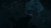 Christopher Heyerdahl GIF by The Roku Channel