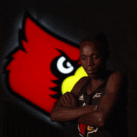 Look Up University Of Louisville GIF by Louisville Cardinals