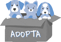 Psv Adopta Sticker by Chemisette