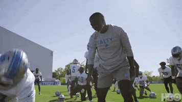 Detroit Lions Football GIF by NFL