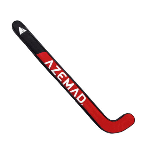 Hockey Sticks Sticker by AZEMAD Sport