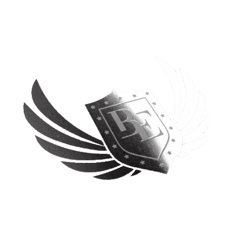 beevolution giphyupload logo flying berlin Sticker