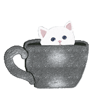 Cat Kitty Sticker