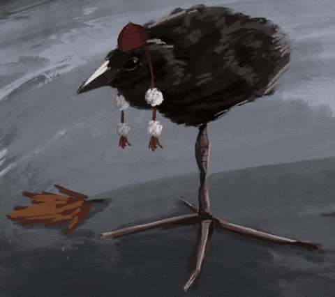 Bird Aya GIF
