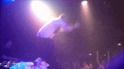 Jump Lie Down GIF by Ivan Dorn