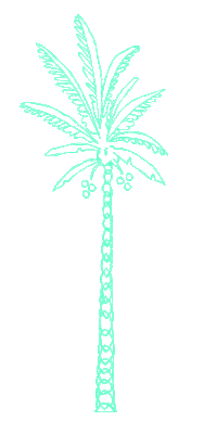 Palm Tree Travel Sticker by Spell & The Gypsy Collective